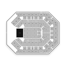 Mgm Grand Garden Arena Seating Chart Seatgeek