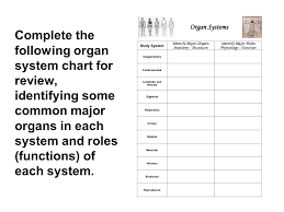 Organization And Regulation Of Body Systems Ppt Video