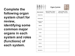 organization and regulation of body systems ppt video