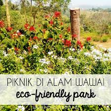 Placeskota bandar lampung, lampungparkpicnic groundkota bandar lampung, lampung. Piknik Di Alam Wawai Eco Friendly Park Bandar Lampung Heni Puspita