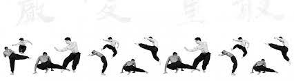 Maybe you would like to learn more about one of these? Sumpah Karate Karateka Inkanas
