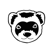 images?q=tbn:ANd9GcSTARC1wX9nCM7R4JBTLyh dJ FTvMdiHnZRuPD 89dWrD2AbM&s