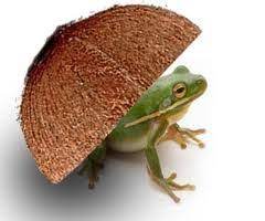 Stefanie seperti katak di bawah tempurung kerana dia tidak mengetahui tentang parti politik negaranya sendiri. P5 P6 Peribahasa 21 30 Flashcards Quizlet
