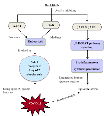Image result for Baricitinib