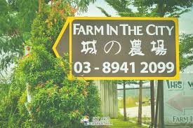 Underneath paris, for example, there are 600 hectares of untapped space in the form of car parks. 15 Things To Do In Farm In The City åŸŽã®å†œåœº Seri Kembangan Malaysia