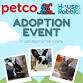 Monthly Petco Adoption Event — House Rabbit Soci... event in Walnut Creek, CA