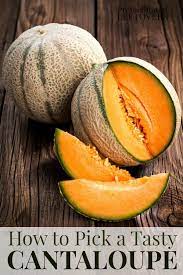 How can you tell if a cantaloupe is sweet? How To Pick A Cantaloupe Tips For Picking A Perfect Cantaloupe