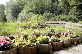 Gartentipps Fur Marz In 2020 Garten Pflanzen Gartentipps