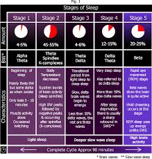 The Different Stages Of Sleep Stages Of Sleep Rem Sleep Cycle Sleep Health