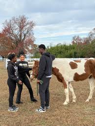 Greenwell Foundation