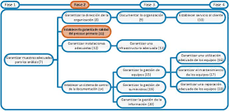 Conocer las principales reacciones de fase ii del proceso metabólico. Actividades Fase 2 Establecer La Garantia De Calidad Del Proceso Primario Laboratory Quality Stepwise Implementation Tool