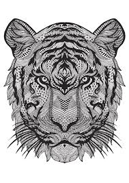Amazon Fr Bestiaire Extraordinaire Collectif Livres Coloriage Mandala Image Coloriage Mandala Animaux