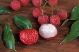 Nutritionally, the fruits are quite similar. Lychee Fruit Can Kill Underfed Kids Scidev Net