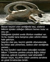 Pin By My Tv On Fantazi Sanati Science And Nature Wtf Fun Facts Fun Facts