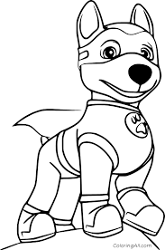 They work together on missions to protect the shoreside community of adventure bay. Paw Patrol Coloring Pages Coloringall