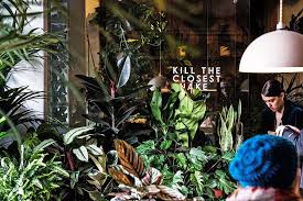 Find cactus in canada | visit kijiji classifieds to buy, sell, or trade almost anything! 8 Of The Best Shops In London To Feed Your Plant Obsession Secret London