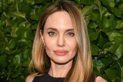 Jerry Brown Endorses Hillary Clinton