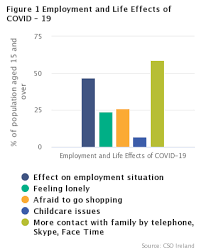 For example, a restaurant server might become a restaurant owner or a bookkeeper might become an accountant. Employment And Life Effects Of Covid 19 Cso Central Statistics Office