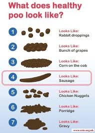 Stool chart nhs hmorrhoiden und co bristol stuhlformen. Poo Diary Eric