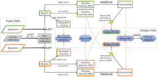 tarsynflow a workflow for bacterial genome comparisons that