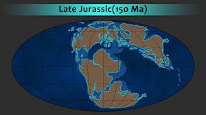 Humans evolved at the end of the cenozoic. Paleozoic Timeline Shefalitayal