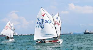 Image result for Tan 2021 Fleet