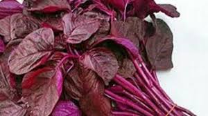 See more of thotakura ajay yadav on facebook. à°Žà°° à°ª à°¤ à°Ÿ à°• à°° à°ªà°ª à°ª Erupu Thotakura Pappu Red Spinach Curry Lal Bhaji Dal Sabzi Youtube