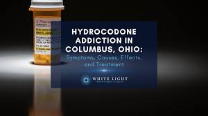 Image result for Hydrocodone