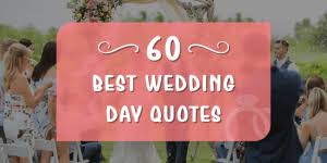 Funny marriage quotes for newlyweds and some advice. 150 Funny Marriage Quotes And Wishes For Newly Married Couple