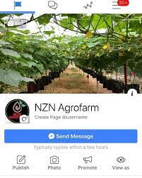 Tesis ijazah sarjana muda serta pendidikan. Kekosongan Pelajar Latihan Industri Tropicaland Agro Facebook