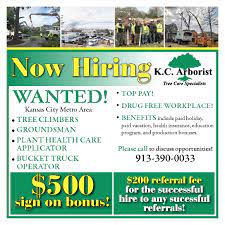 Compare quotes, message or call pros, and hire only when ready. Kc Arborist Blog Kc Arborist