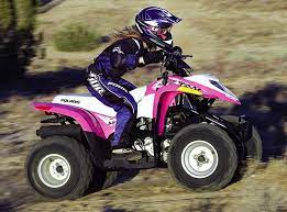 10 Polaris Ideas Snowmobile Atv Polaris Snowmobile