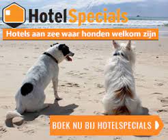 Hotel Met Hond Hotels Waar Alle Honden Welkom Zijn