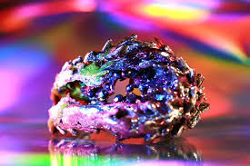 Image result for Pollia condensata