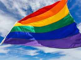 Added disabled pride flag and 10 more demi/fluid gender flags. Biden Admin Grants Blanket Authorization To Fly Pride Flag At Embassies Abc News