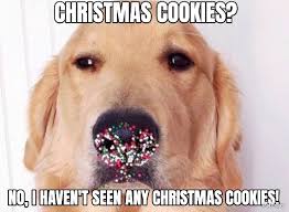 Find the newest christmas cookie meme. Christmas Cookies Golden Retriever Meme Petpress