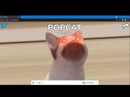 Now you have the cutest kitten in the world! Kan Jeg Ramme 1 Mil Popcat Clicker Pop Cat Know Your Meme
