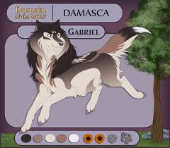 Dotw Gabriel Retired By Quaylak On Deviantart Открыть страницу «wolf con f» на facebook.