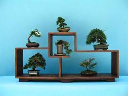 Wikle Fluorescent Light Growing Bonsai Art Bonsai Garden Bonsai
