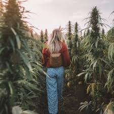 Ellie Watson Elliebullen Instagram Photos And Videos Hemp Art Boho Ideas For Instagram Photos