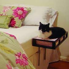 they make these for babies but your cat should have one too obvs 23 insanely clever products every cat owner will w evcil hayvanlar kedi kedi malzemeleri