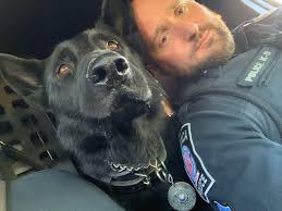 Beloved Monaca K9 Kazan dies of cancer