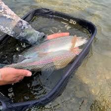 Tom Larimer's King Rig