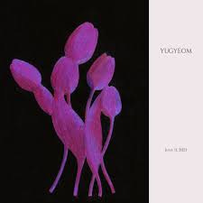 Teaser misterius yugyeom usai resmi diumumkan bergabung aomg yugyeom got7 rilis teaser lagu solo pertama setelah pindah ke aomg lirik lagu i want u around, singel debut solo yugyeom (got7) lirik lagu ribbon, singel debut solo bambam dari got7 Watch Got7 S Yugyeom Says It S All Your Fault In Mv For Official Solo Debut Featuring Gray Soompi