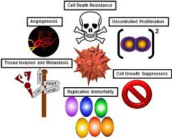 However, it can occur in other heart and lung diseases. Photodynamic Diagnosis And Treatment Of Lung Cancer Book Chapter Iopscience