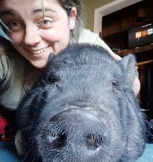 June/July/Aug. 2018 Page 1 http://scampp.com