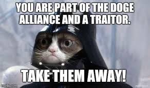 Grumpy Cat Star Wars You Are Part Of The Doge Alliance And A Traitor Take Them Away Image Tagged In Meme Cat Birthday Memes Happy Birthday Cat Grumpy Cat