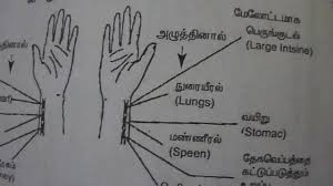 Tamil Acupuncture Pulse Diagnosis Healer V Saravanan