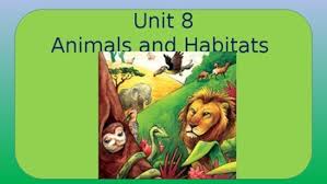 Animals And Habitats Engage Ny Read Alouds Common Core First Grade Domain 8 Read Aloud First Grade Reading