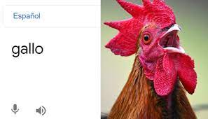 La rara forma en que el traductor de google pronuncia 'gallo' enlace copiado probablemente, centenares de personas habrán utilizado el traductor de google en algún momento de sus vidas. Fc Zafdhnh9nfm
